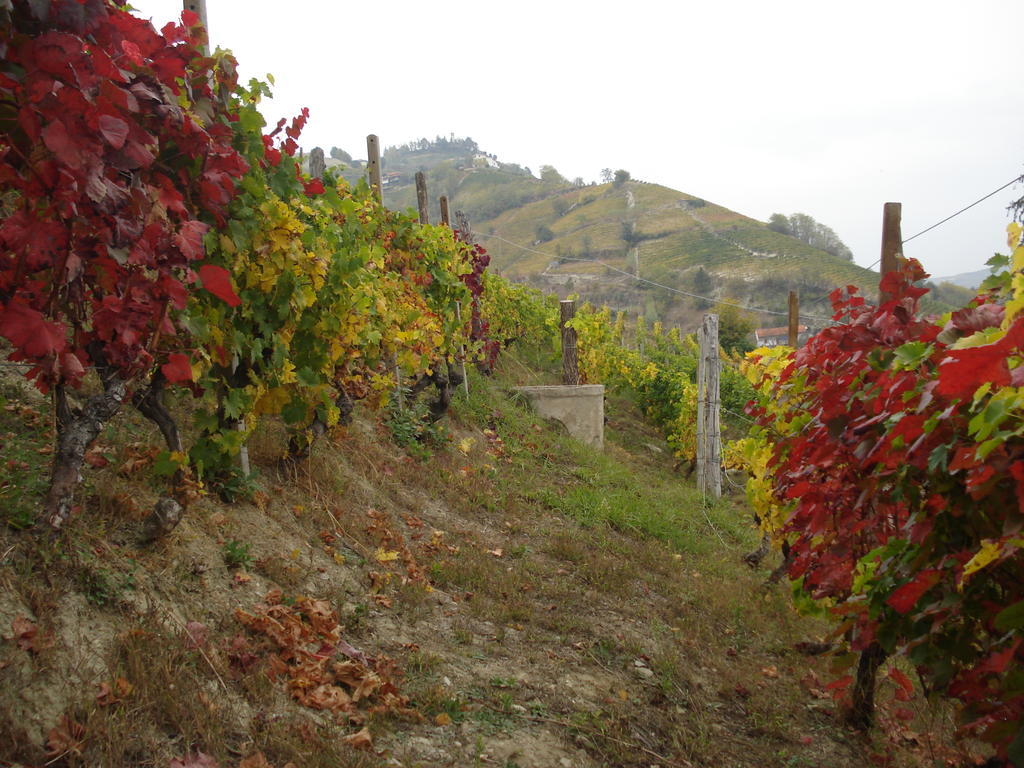 Agriturismo Cascina L'Arche Santo Stefano Belbo Εξωτερικό φωτογραφία