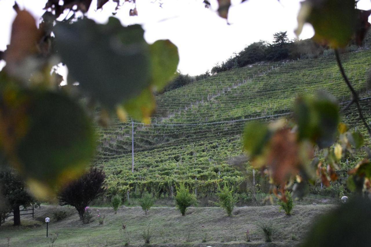 Agriturismo Cascina L'Arche Santo Stefano Belbo Εξωτερικό φωτογραφία